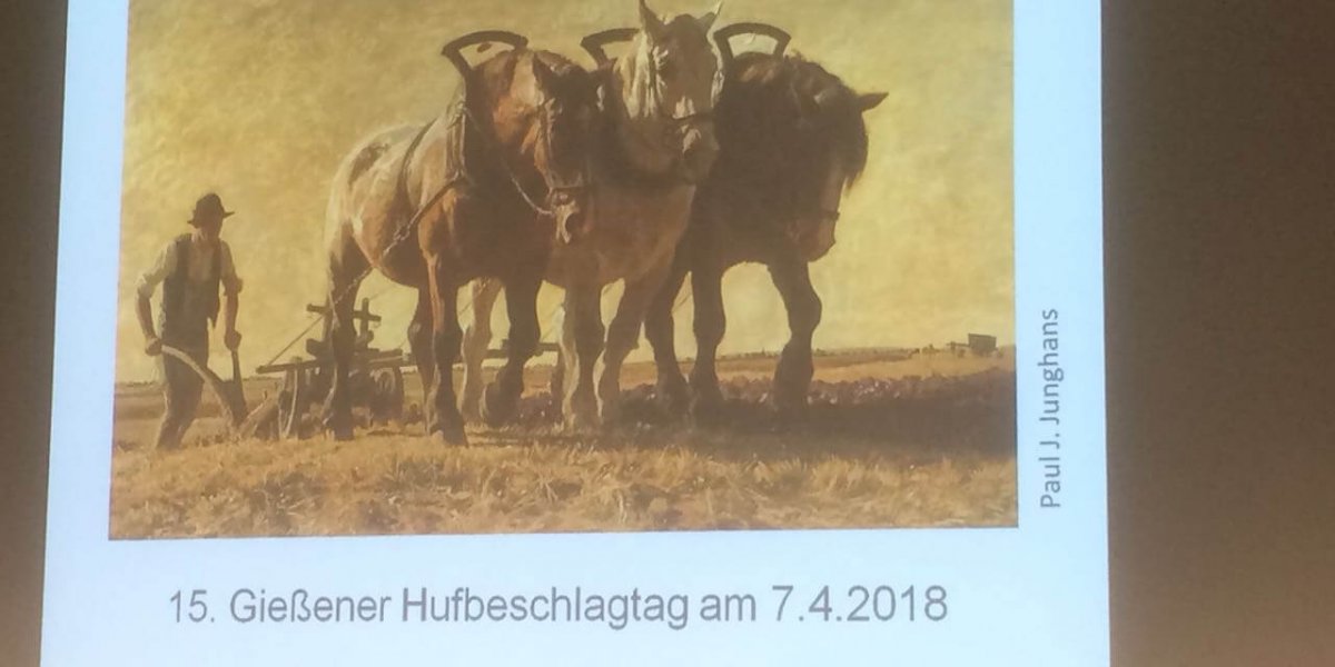 IMG-20180407-WA0001 Hufbeschlag